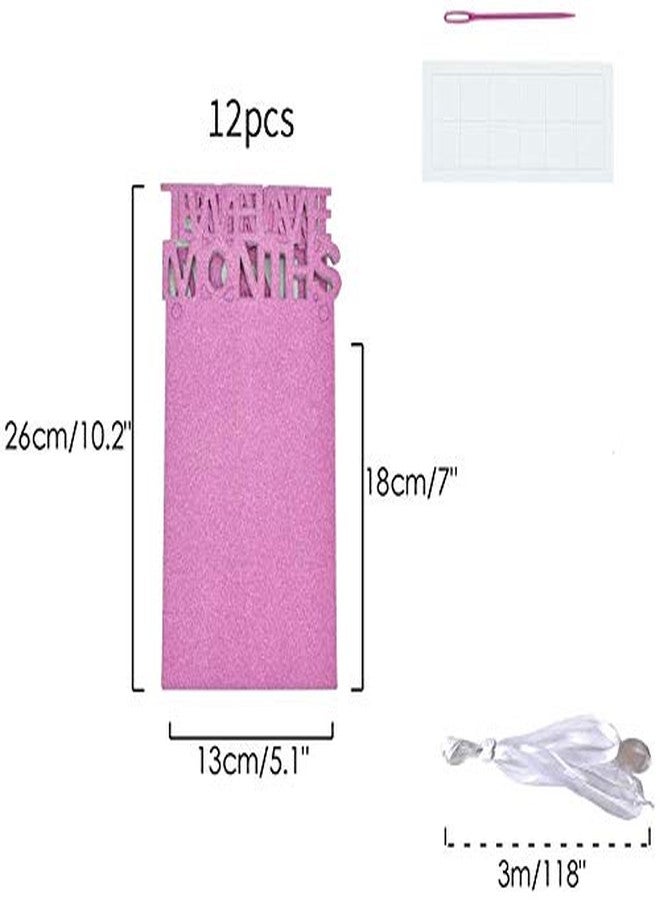 Infispace® 1-12 Monthly Milestone Photo Banner for 1st Birthday Decor (Girl- Letters) - Image 2